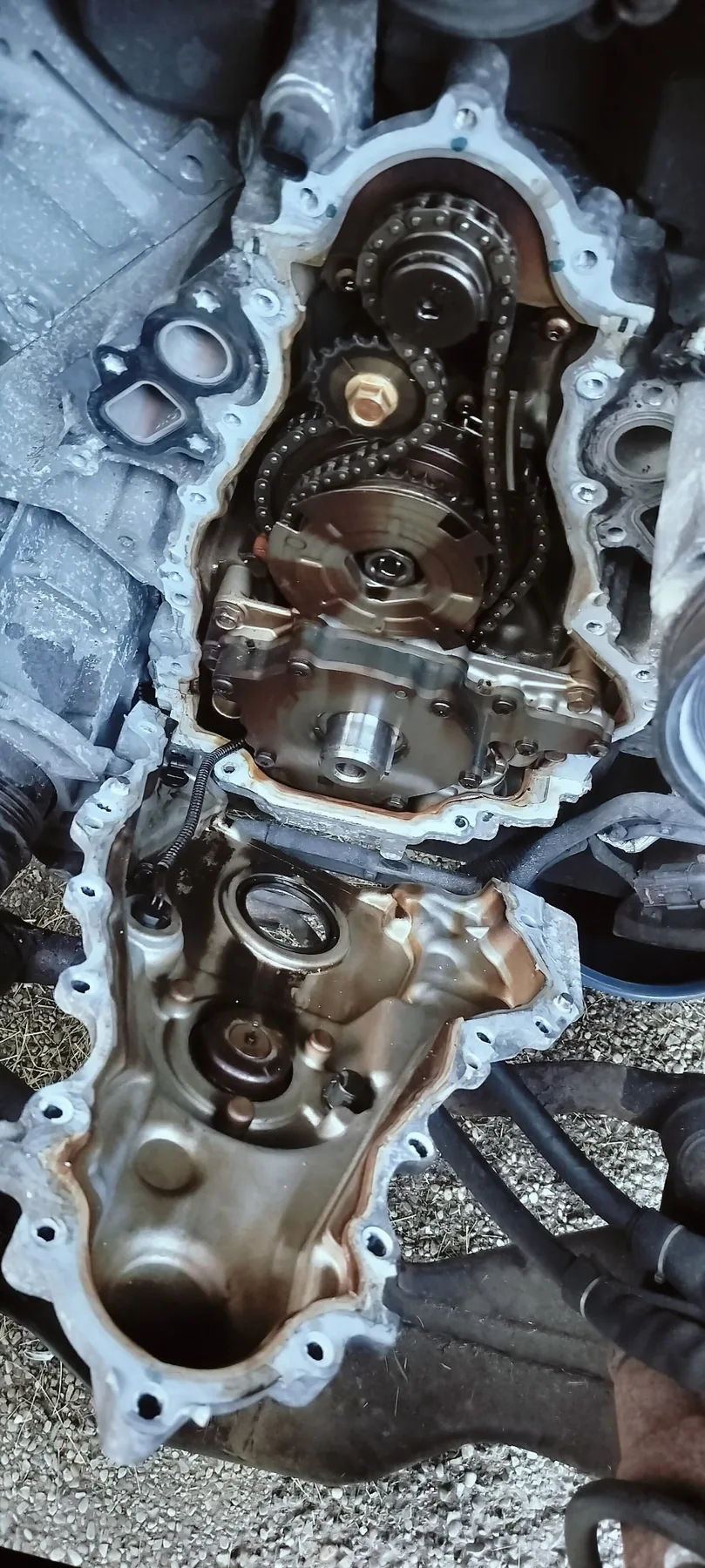 Front timing system reassembled during the repair sequence.